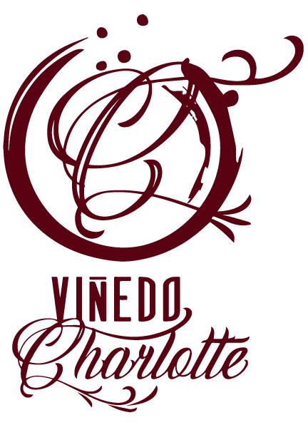 logo oscuro Viñedo charlotte